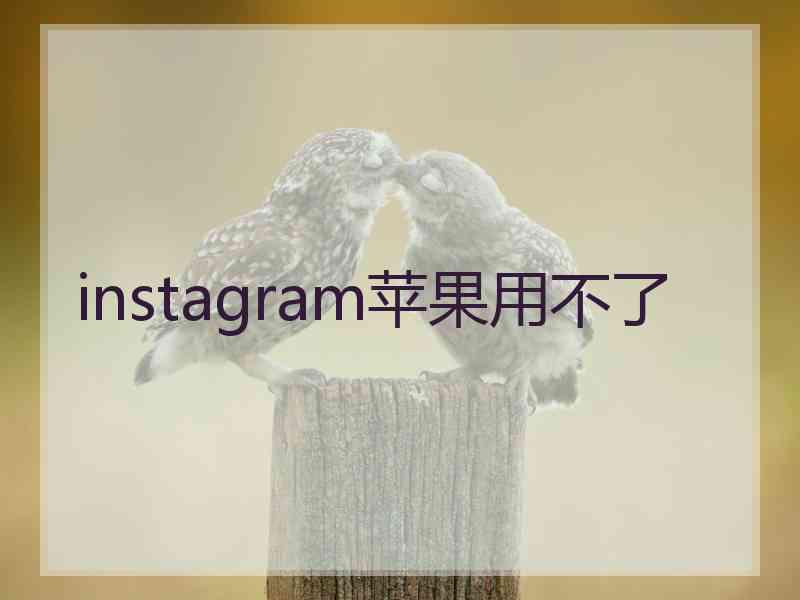 instagram苹果用不了